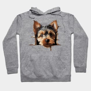 Baby Yorkshire Terrier Dog Peeking Hoodie